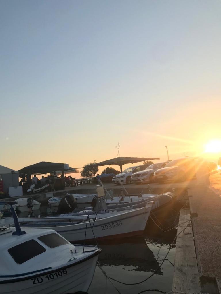 Apartments Zadar Nin Anton I Martina Vrsi Oda fotoğraf